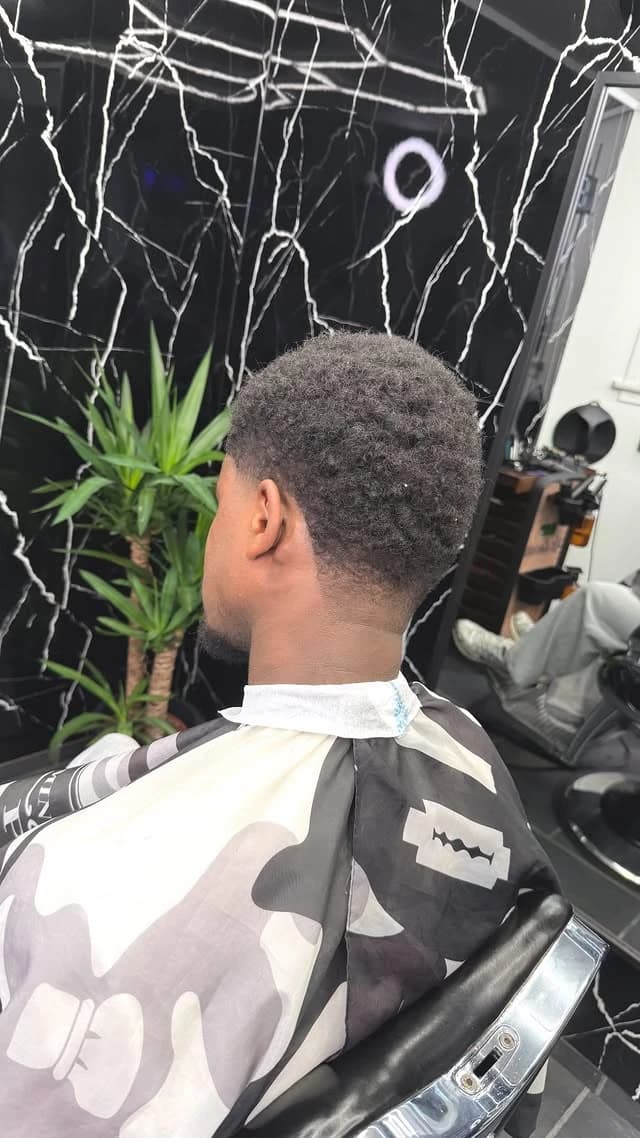 Afro with a sculpted drop fade, side profile